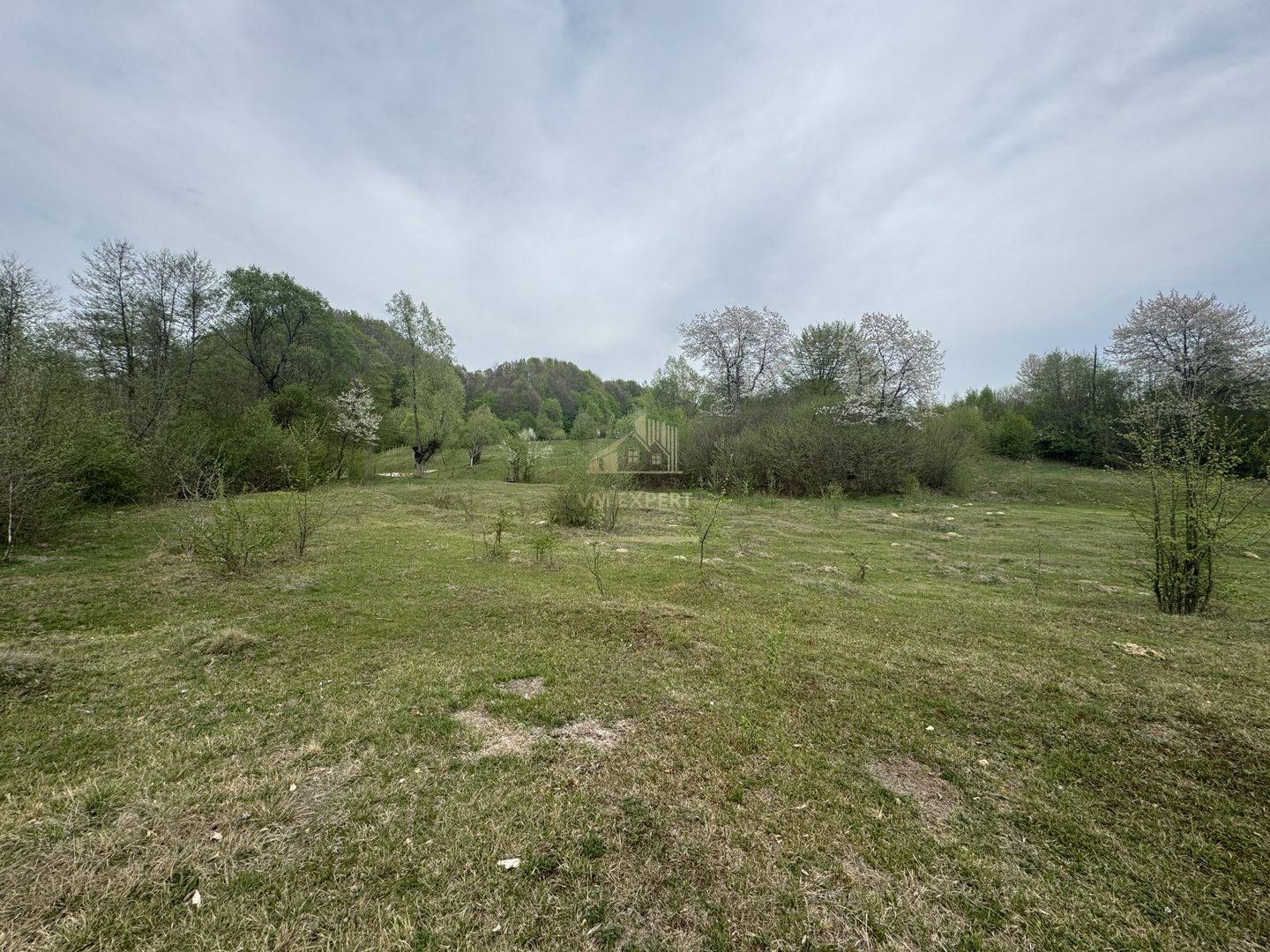 TEREN EXTRAVILAN 40000 MP, ALBESTI DE MUSCEL, CANDESTI - Poză 9