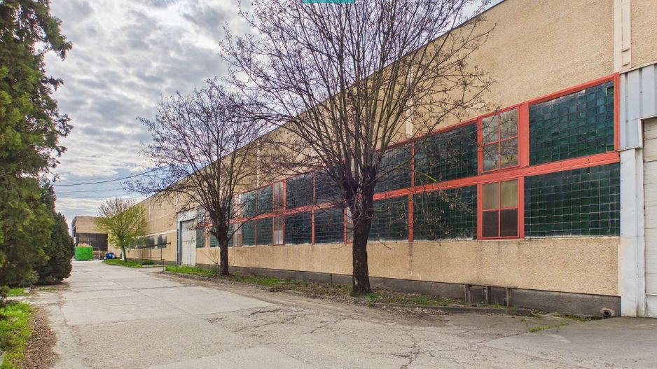 Hală de închiriat – Arad - Poză 1