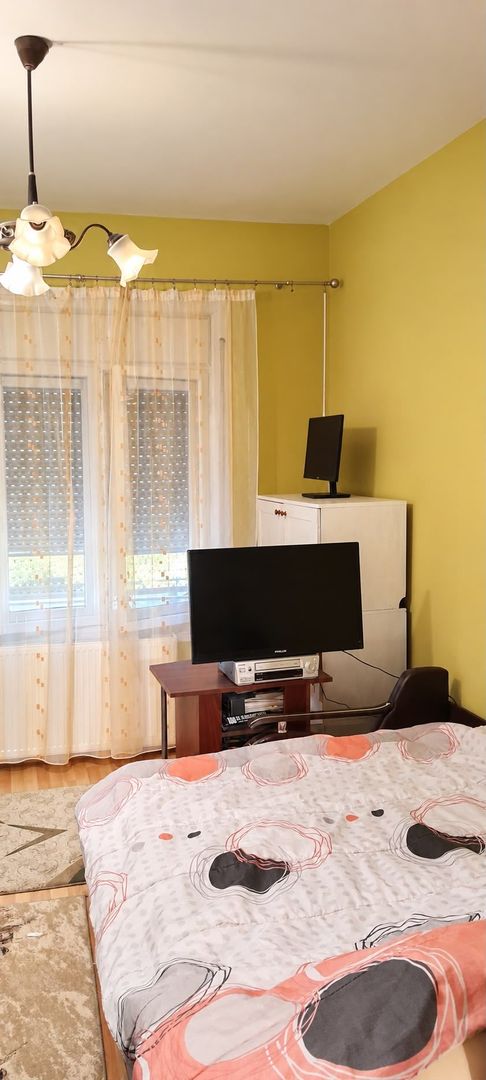 Casa individuala cu 5 camere in zona Dâmbovița din Timișoara - Poză 6