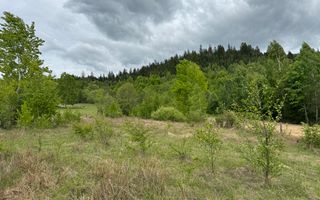 TEREN INTRAVILAN 6680 MP LERESTI ARGES - Poză 9