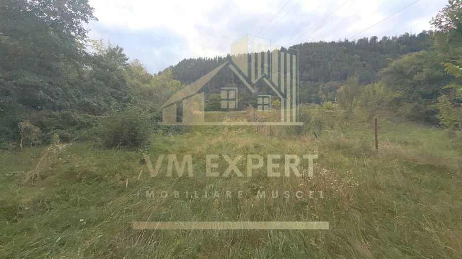 CASĂ 6 CAMERE TEREN 5736 MP LEREȘTI VOINEȘTI ARGEȘ - Poză 26