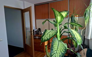Apartament decomandat si parcare - Poză 7