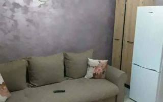 De inchiriat garsoniera micro 40, parter, 1000 lei - Poză 3
