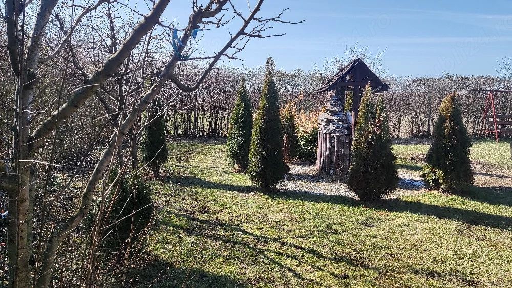 BRASADAS vinde casa cu teren 10 ari in zona Odoreului. - Poză 5