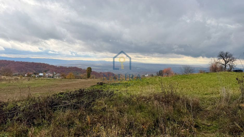 Teren Negreia - Poză 3