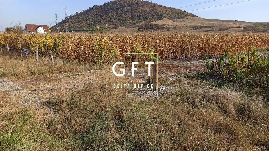 Teren intravilan 1000  mp ideal investitie Sarata - Poză 4