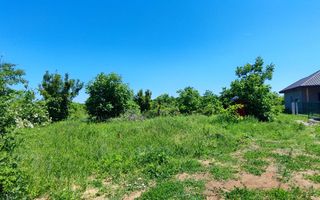 Lot pentru două case – Corbeanca Tamași - Poză 7