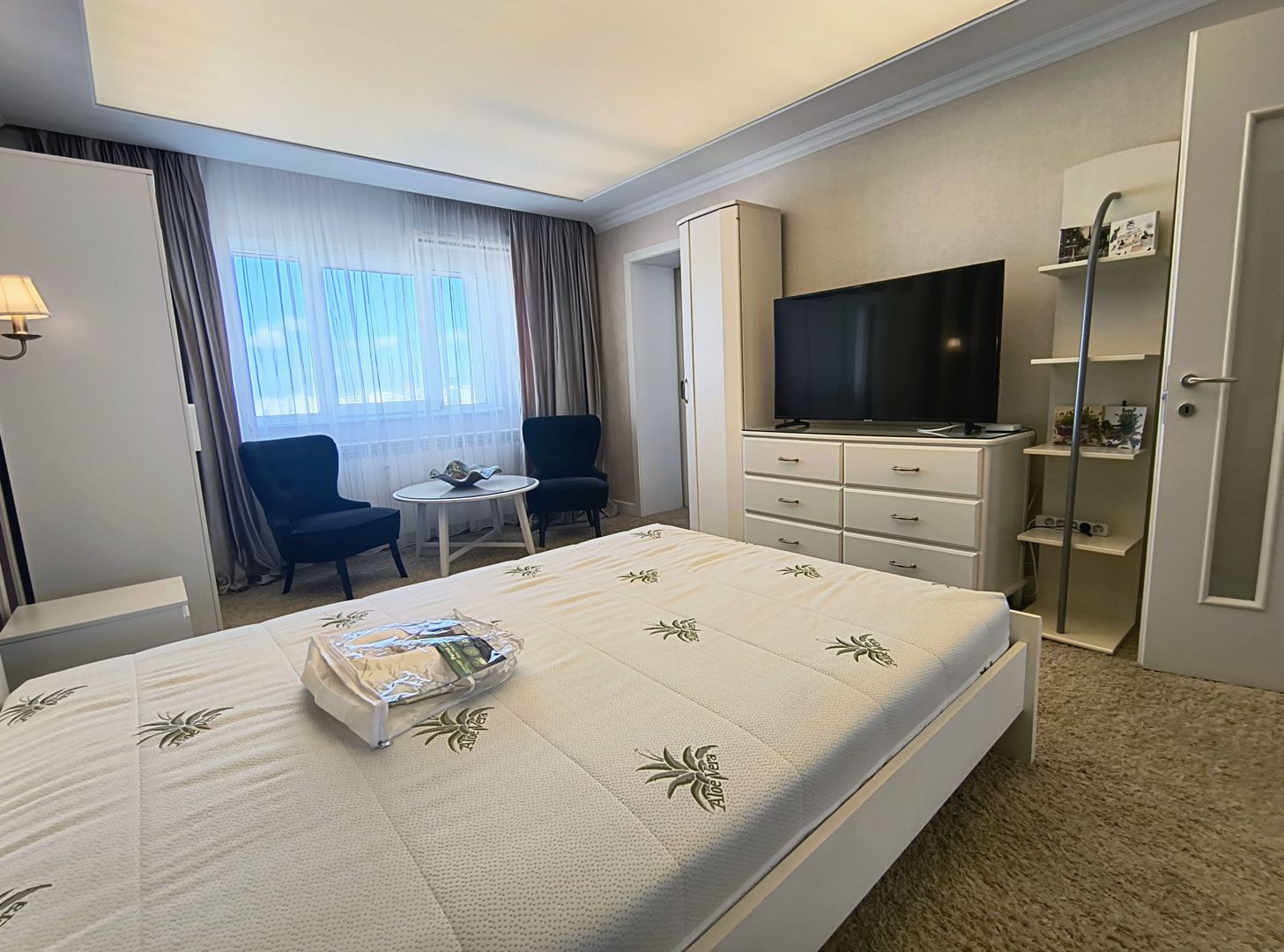 Garsoniera Ion Mihalache- Titulescu- Banu Manta - Poză 2