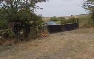 Livadă pe rod de 1570 mp, cu acces facil, în Muntenii de Jos, județul Vaslui - Poză 3