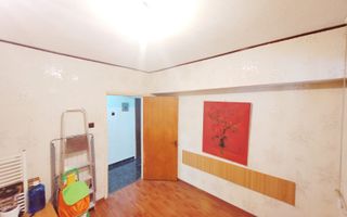 Domenii Ion Mihalache stradal super pret - Poză 8