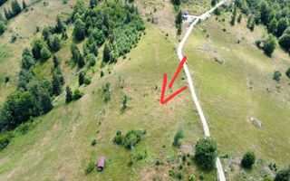 Teren intravilan | 3565 mp | Ideal constructie cabane | Garda de Sus - Poză 6