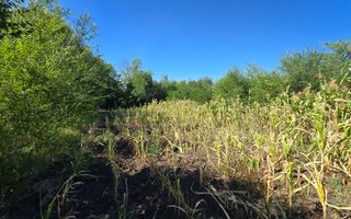 10 ari pentru construcții agroindustriale - Poză 8
