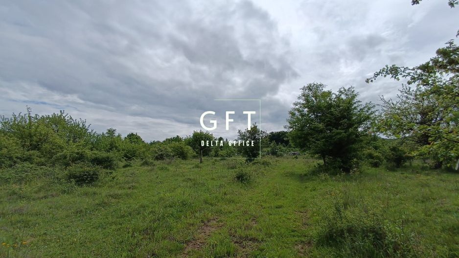 Teren Extravilan Valea Ghinzii 15 ari - Poză 4