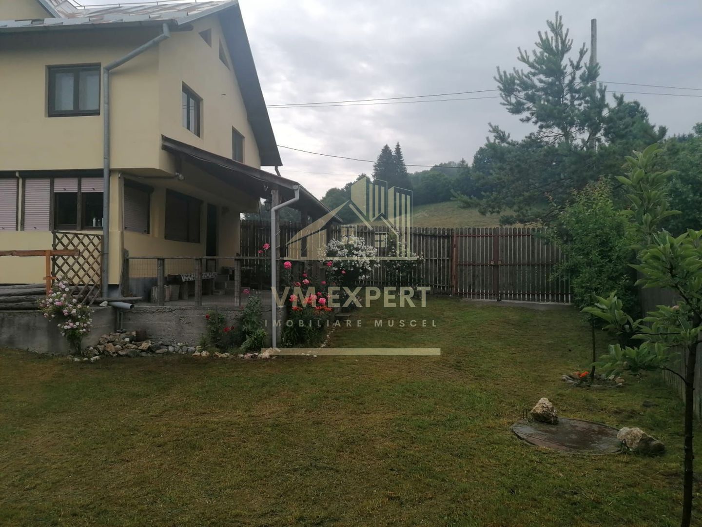 CASA 4 CAMERE, TEREN 290 MP, RUCAR, ARGES - Poză 3