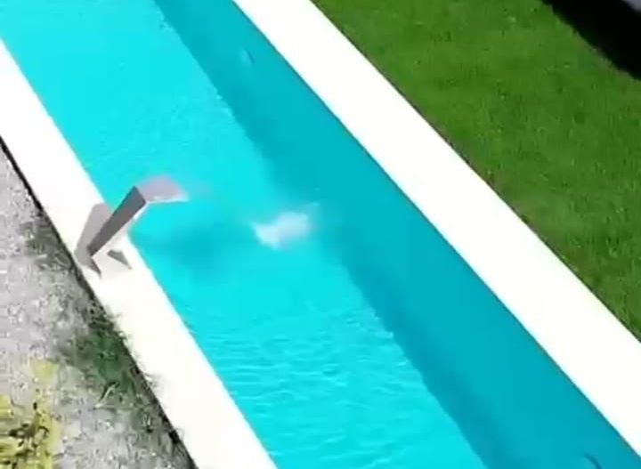 ilfov  CORBEANCA - Poză 2