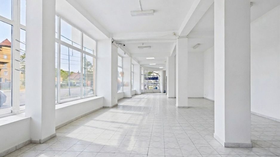Spațiu comercial 265 mp | Ștefan cel Mare - Poză 9