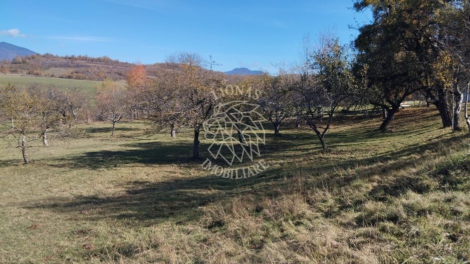 Teren intravilan 5324 mp la drum asfaltat-Parcelabil-Josenii Bargaului - Poză 4