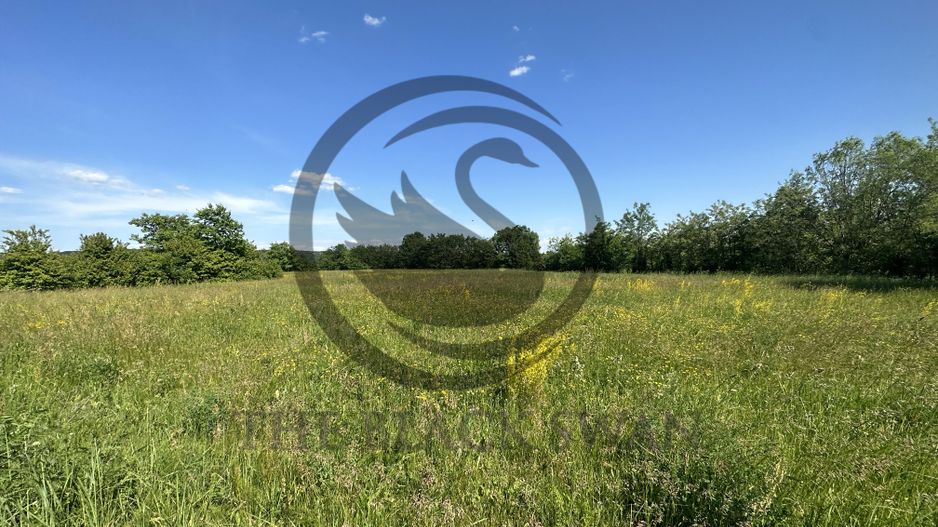 Teren Vanzare 11.000 MP Ghirdoveni | Comision 0% - Poză 11