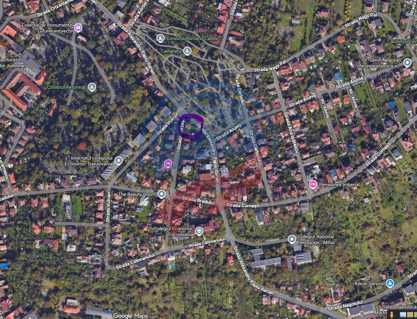 Oportunitate investiție: Vilă cu 4 unități independente, Platoul Cornești - Poză 2