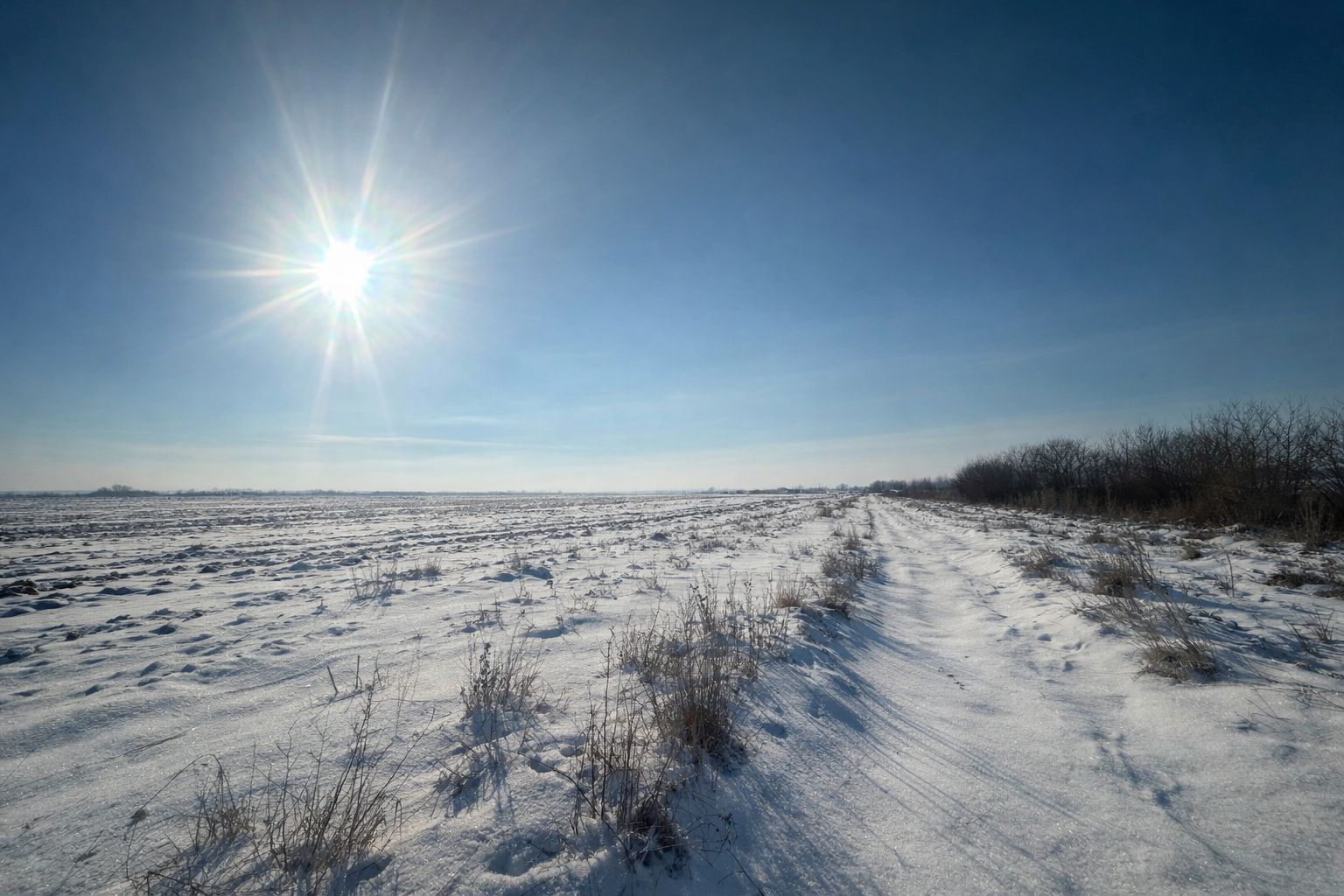 Teren Extravilan | 52 ari | Maneuti | Front 26 m | 55.500 € - Poză 8