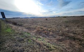 Teren destinatie industriala  Jimbolia - Poză 4