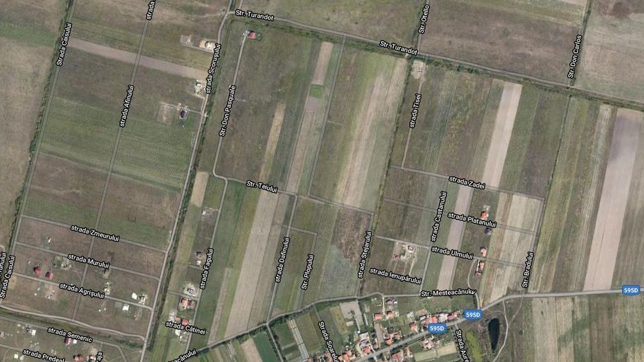 TEREN MOSNITA VECHE - Poză 4