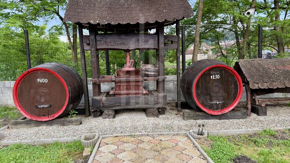 Pensiunea Polyana – business la cheie în inima stațiunii balneoclimaterice Bazna - Poză 19