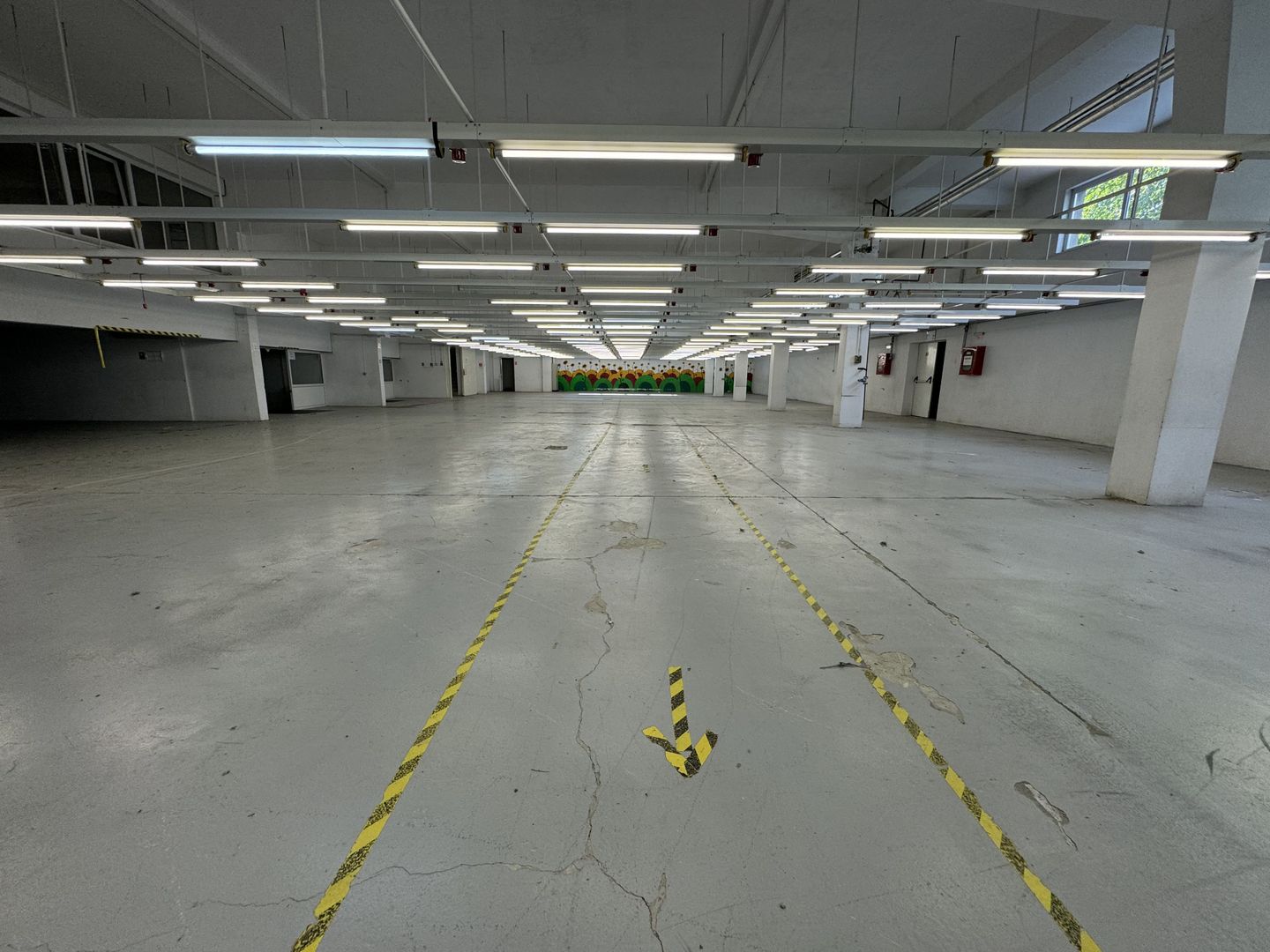 Hala productie P+1 si apartament de serviciu Navodari - c-tie beton - Poză 6