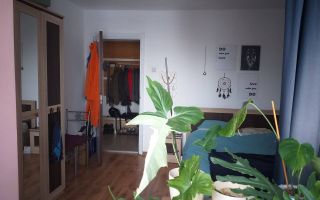 Apartament 2 camere, 46 mp, balcon, zona Parang - Poză 9