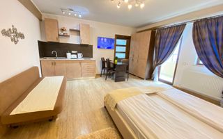 Studio de închiriat-Zona Centrala - Poză 2