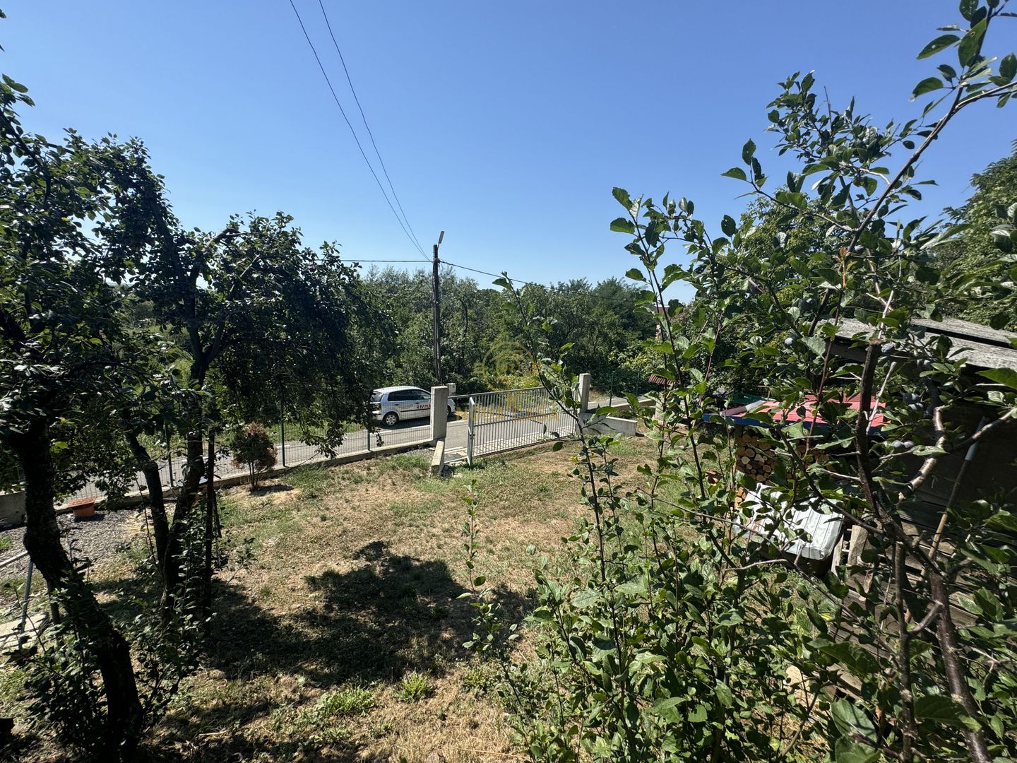 De vanzare Casa cu teren 3500MP in Sabisa/Maramures - Poză 6