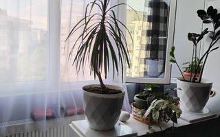 Apartament 3 Camere Decomandat | 2 Băi | Metrou Râul Doamnei – 2 Min - Poză 2