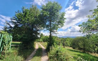 Teren intravilan 1003mp in mijlocul naturii, Predelut, comision 0 - Poză 7