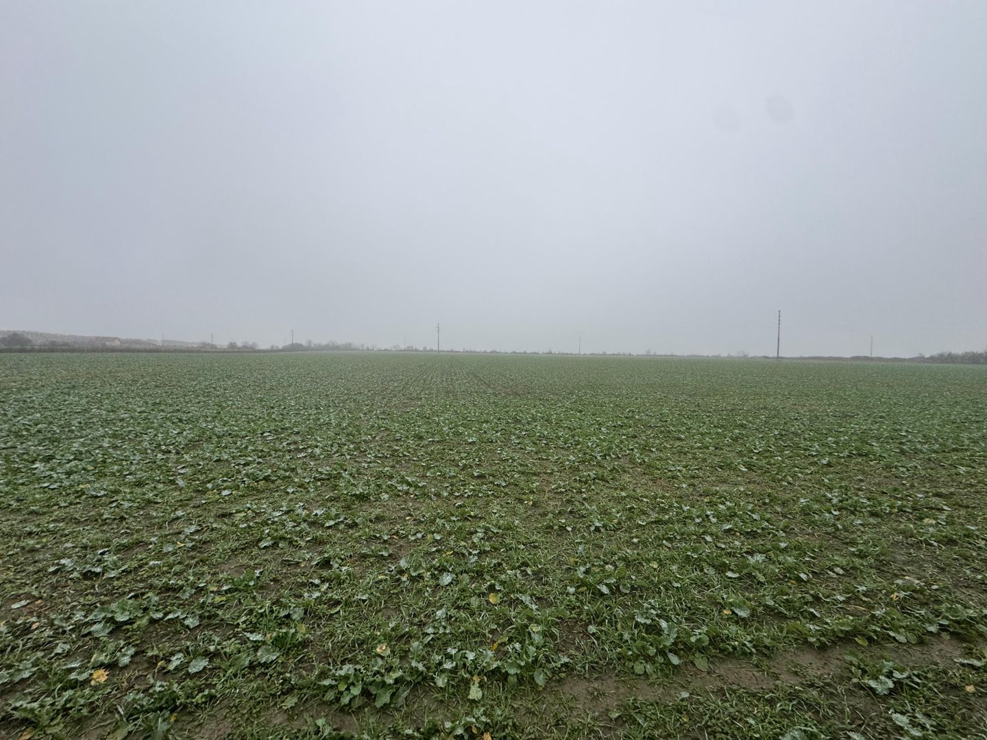 COMISION 0 | Teren intravilan | 7.473 mp | Zona Freidorf - Poză 2