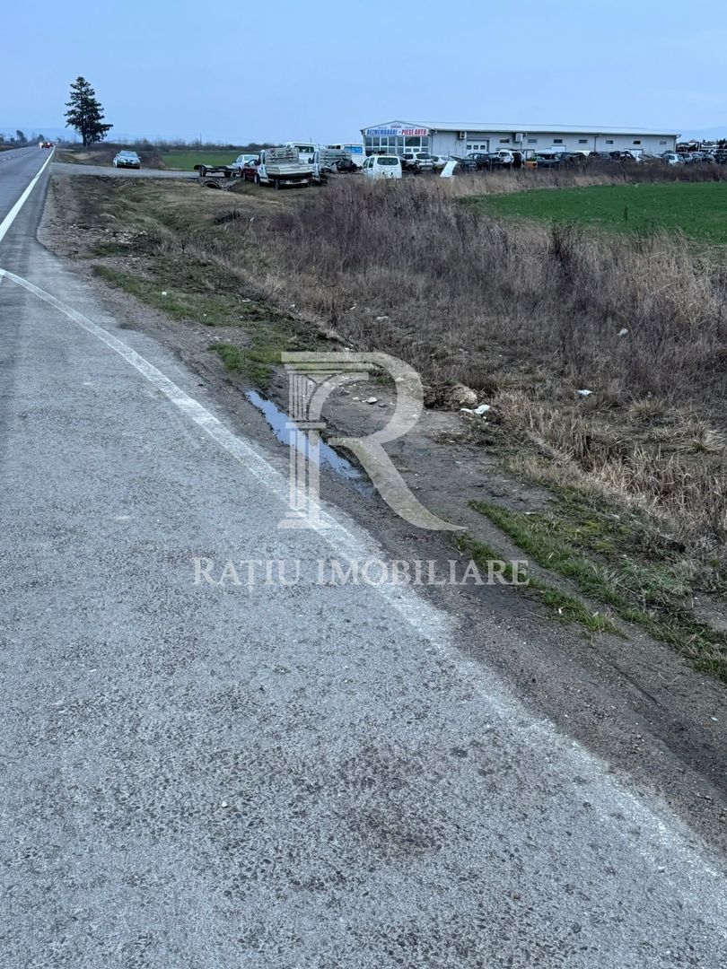 Teren de inchiriat | 20,088 ha | Sacadat | Bihor - Poză 4