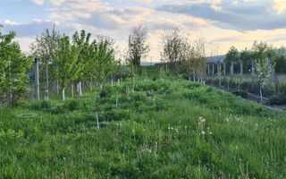 Casa pentru 2 familii, 7 Camere, 2 Garaje, 1500MP Teren - Poză 31