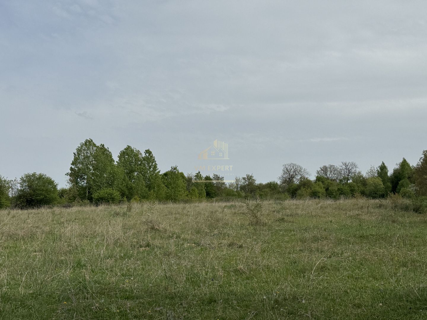 TEREN INTRAVILAN, 7472 MP, VALEA MARE PRAVAT, ARGES - Poză 5