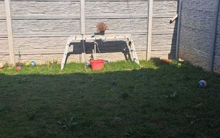 Casa P+1+pod 4 camere - 3 bai - curte 50mp I Ozana - Poză 12