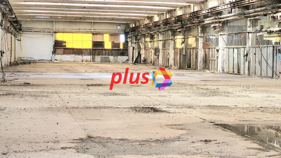 Hala - 2000 mp  # plus-imo.ro - Poză 4