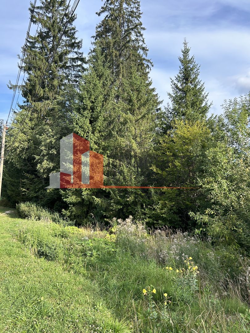 Teren generos de 8.267 mp în Predeal, Strada Nicolae Bălcescu. - Poză 5