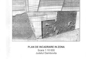 Teren extravilan 10.000 mp - Lucianca - Butimanu - Poză 4