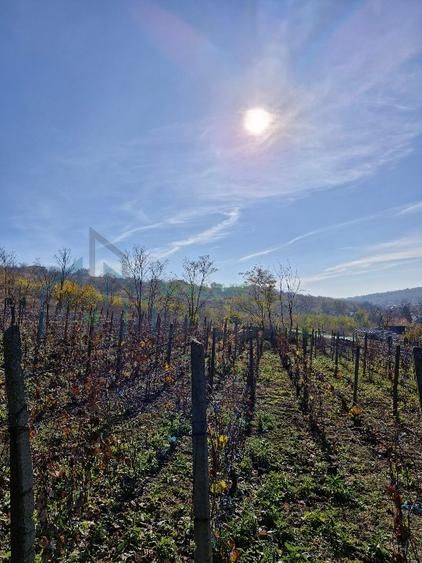 🏡 Teren intravilan 1308 mp Rediu | 9 min (5.8km) Copou / 9 min (5.8km) Pacurari - Poză 5