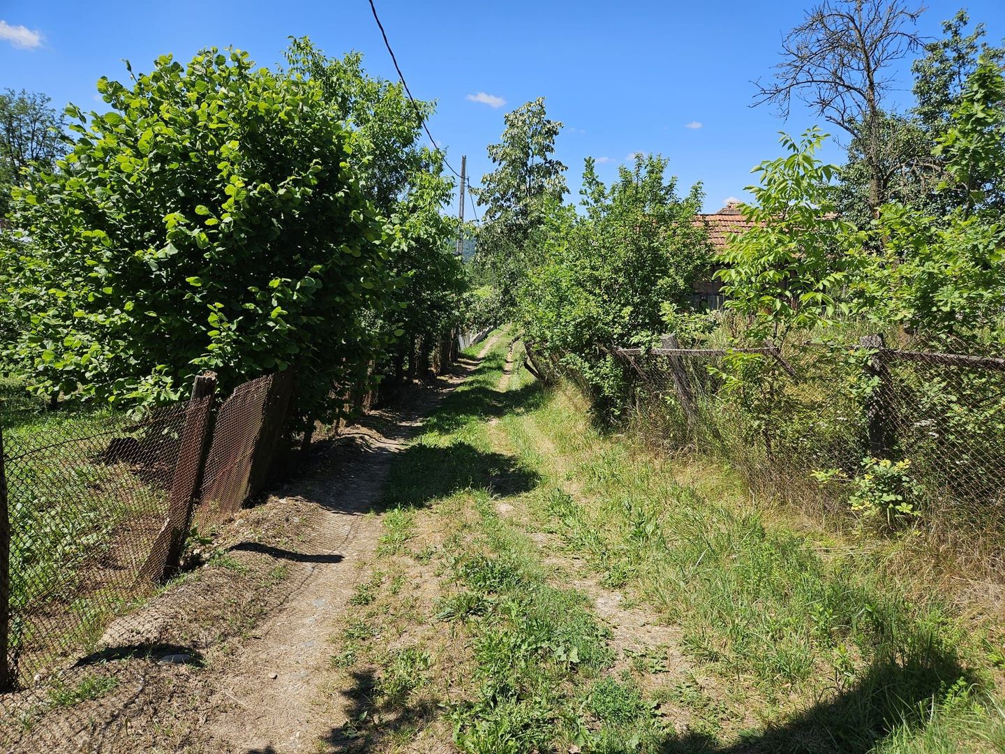 Vanzare teren intravilan, Zigoneni - Curtea de Arges - Poză 4