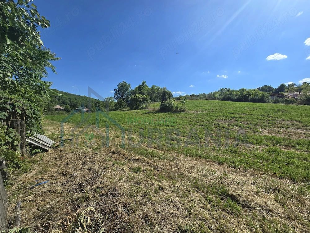Ansamblu rezidențial cu două case și teren de 1,4 hectare, Bohotin - Poză 5