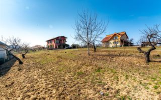 Teren intravilan Paleu - Poză 2