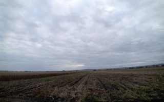 TEREN | Radauti | 6.000 mp | 62.800 EURO - Poză 4