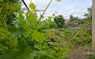 BRASADAS vinde casa individuala 8 cam 8.6a zona Baritiu. - Poză 22