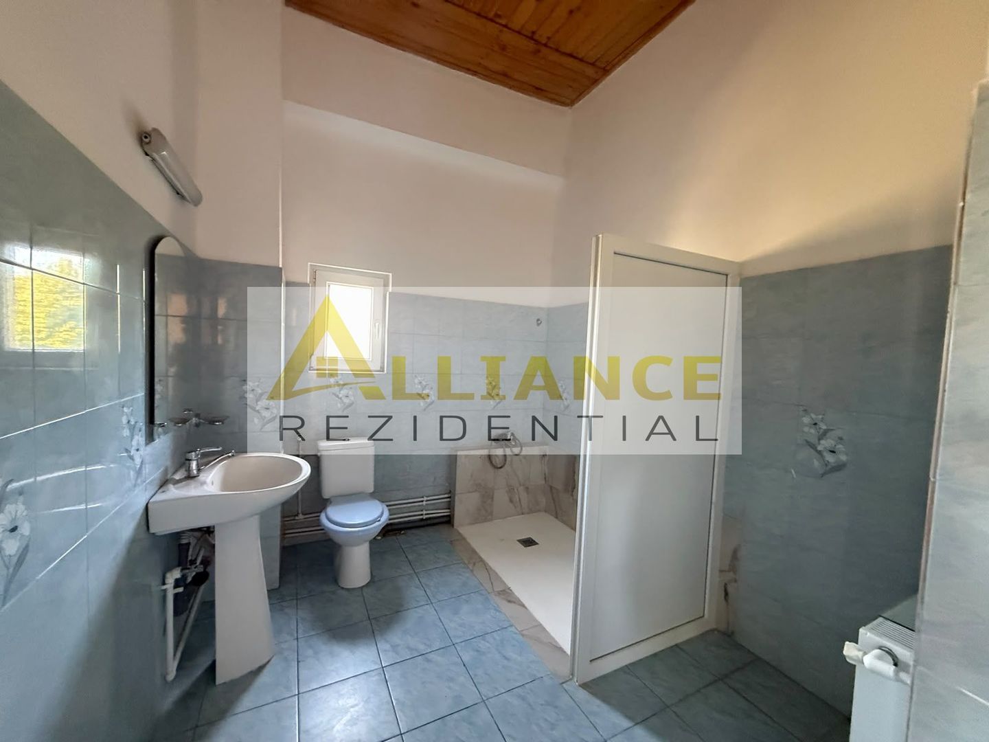 Casa individuala de vanzare in Catelu - 14 camere - teren 1550 mp - Poză 46