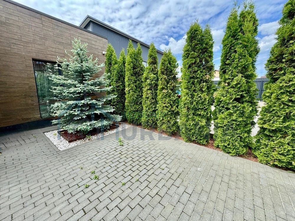 Casa+ Spațiu Comercial # *#* - Poză 2