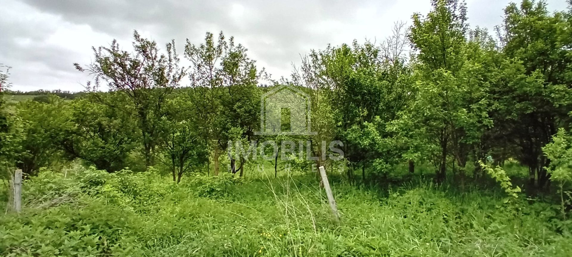 Teren intravilan | Budiu Mic | 994 mp - Poză 3